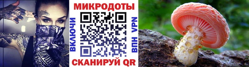 Галлюциногенные грибы мицелий  цены   МЕГА ссылка  Нижнекамск 