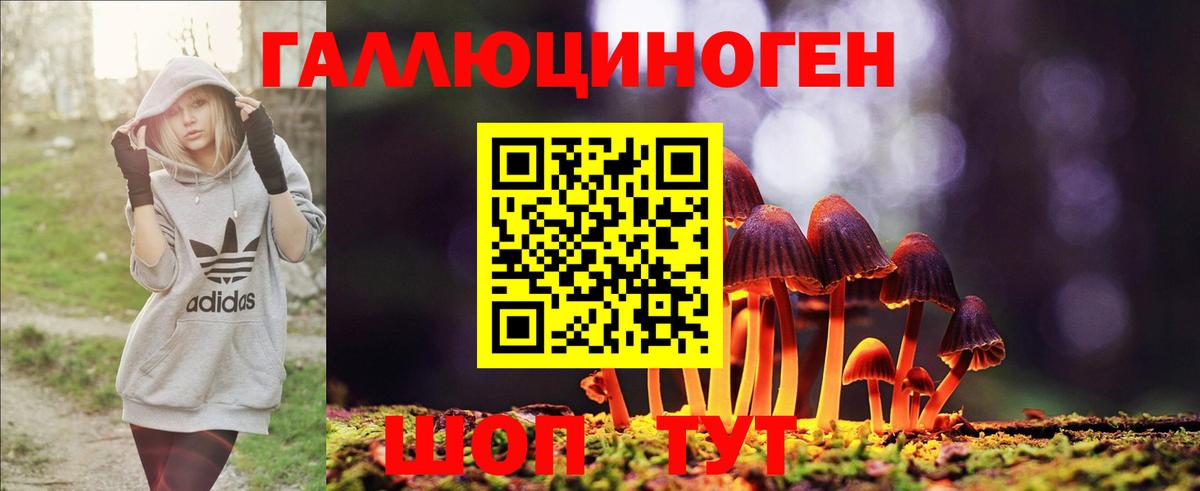 Галлюциногенные грибы MAGIC MUSHROOMS Нижнекамск